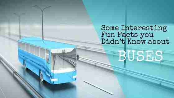 Some-Interesting-Fun-Facts-you-Didn’t-Know-about-buses